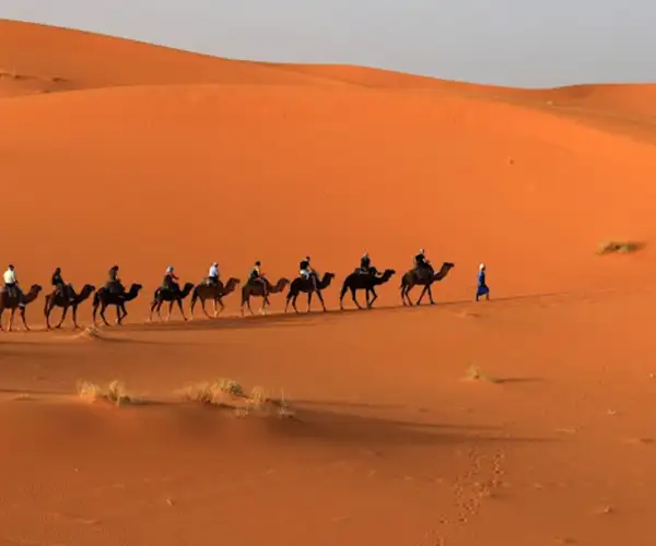 Fethiye Ölüdeniz & Babadağ Yamaç Paraşütü